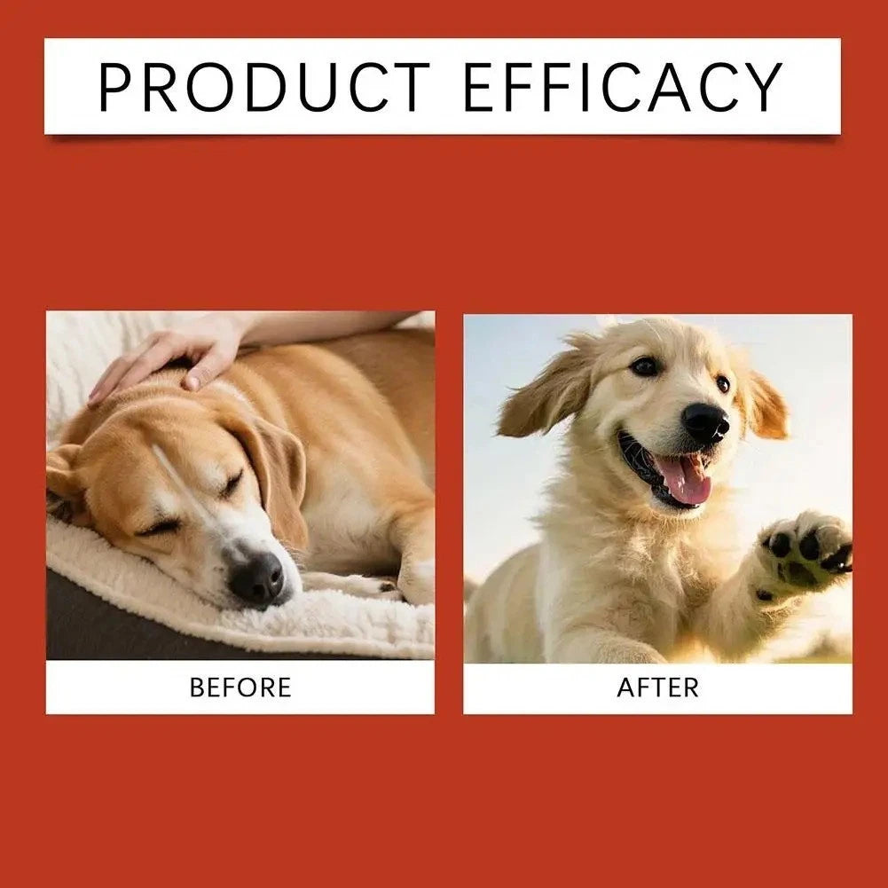 Pet probiotic supplements
