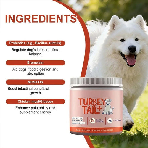 Pet probiotic supplements